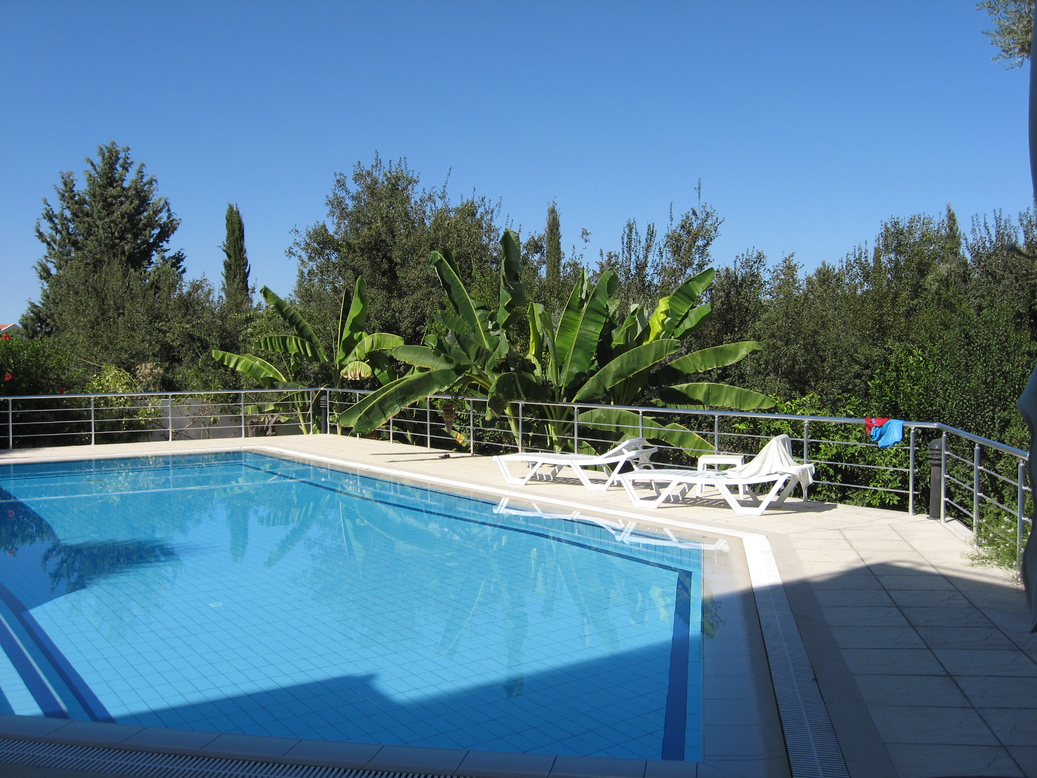 The pool at Alfenrose